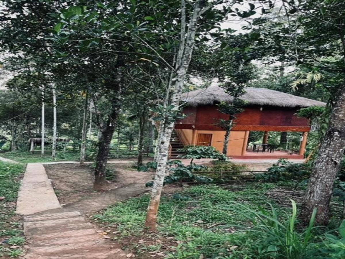 Kuruva Shoreline Wayanad Chegāt エクステリア 写真