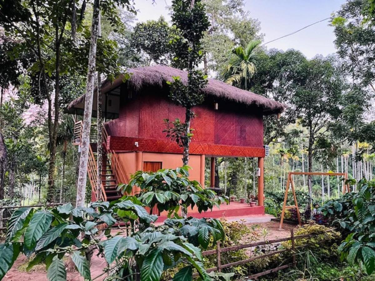 Kuruva Shoreline Wayanad Chegāt エクステリア 写真