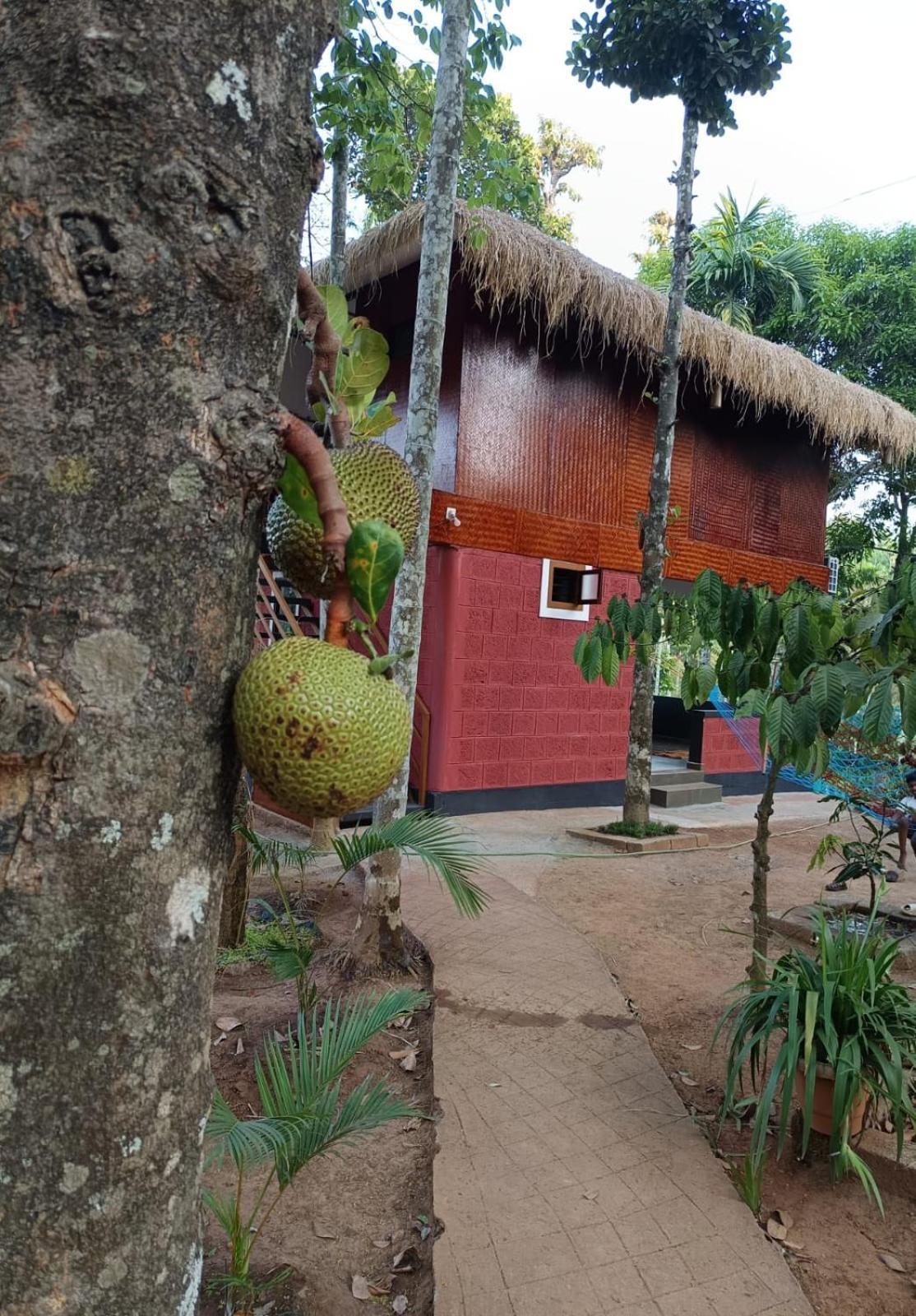 Kuruva Shoreline Wayanad Chegāt エクステリア 写真