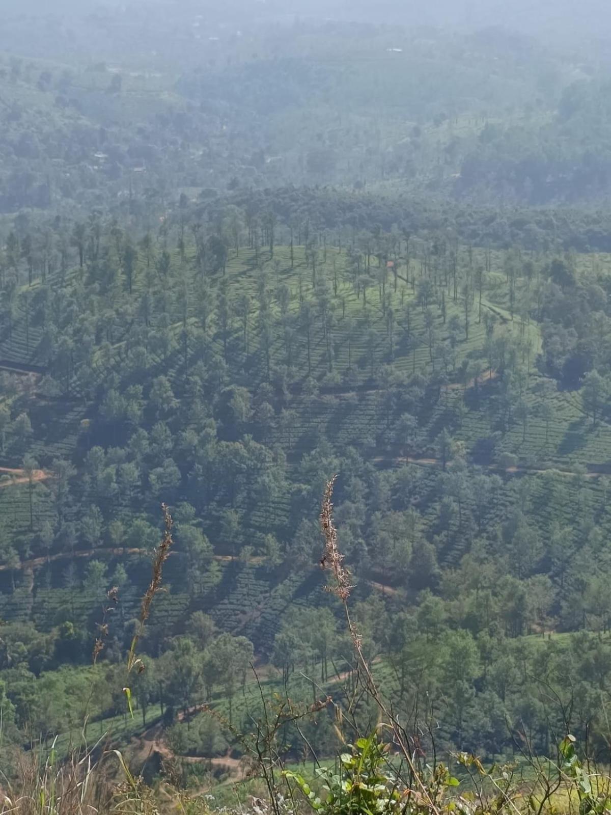 Kuruva Shoreline Wayanad Chegāt エクステリア 写真